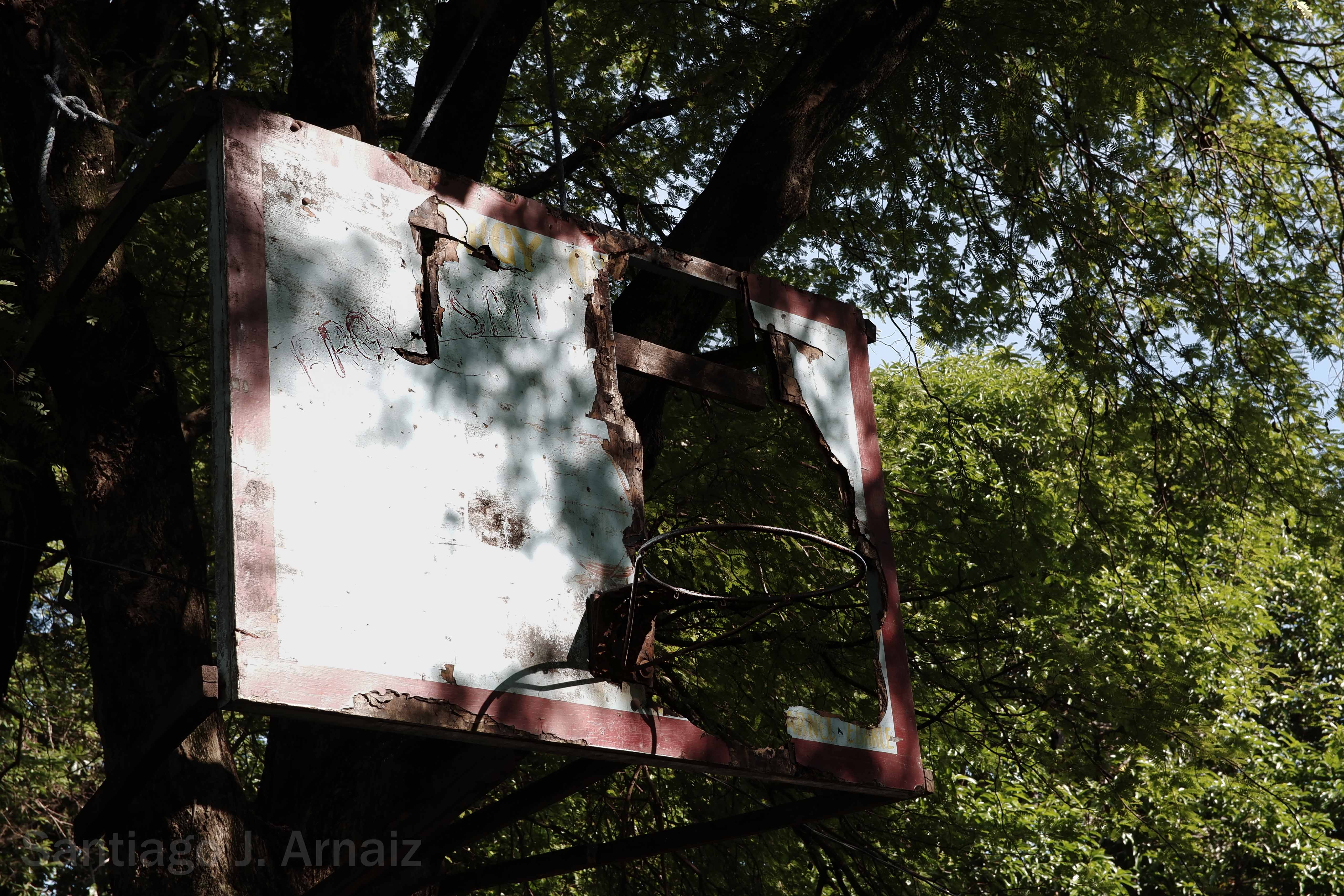 Board on a tree