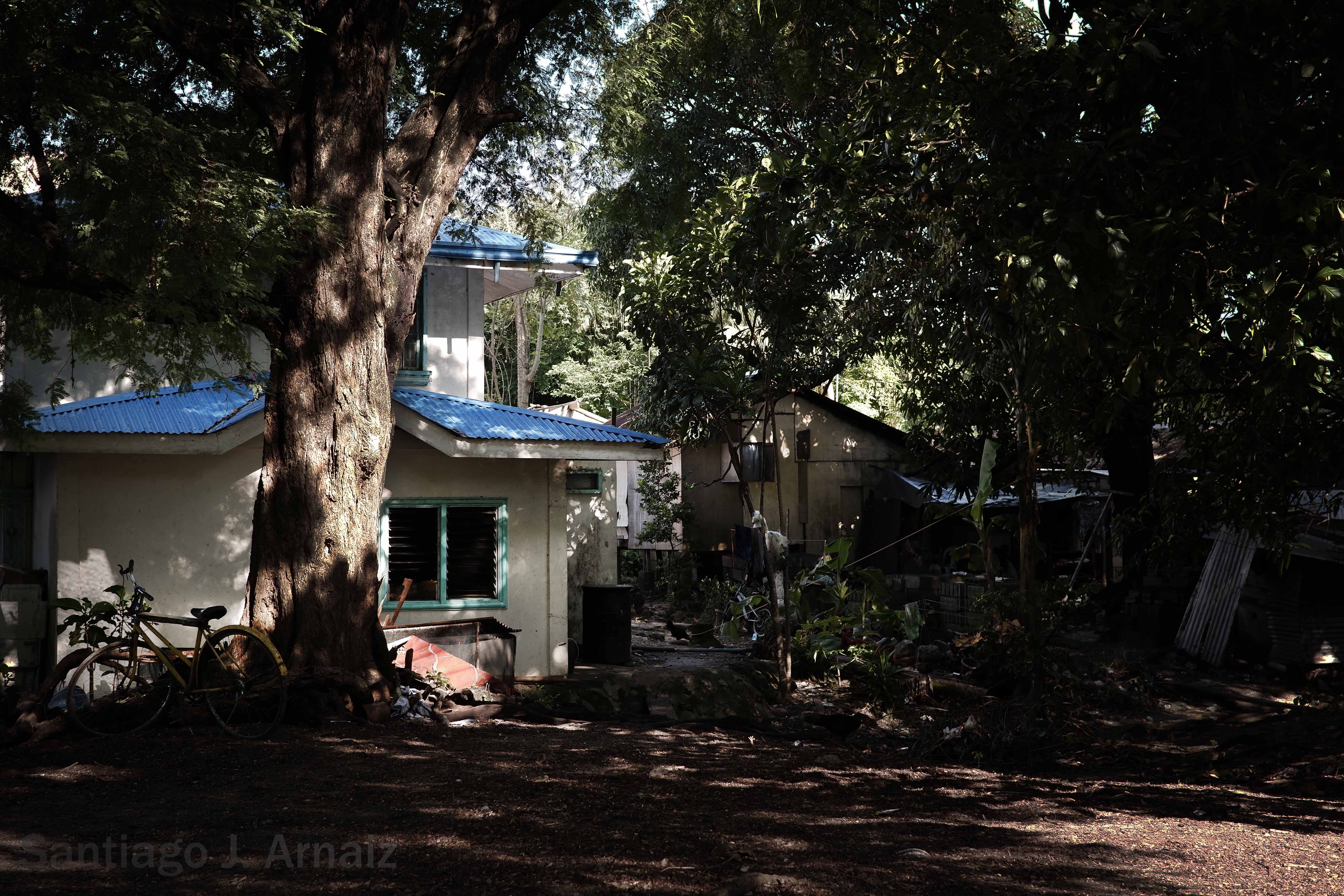 House by the trees in Masinloc